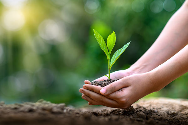 PERSONAL GROWTH